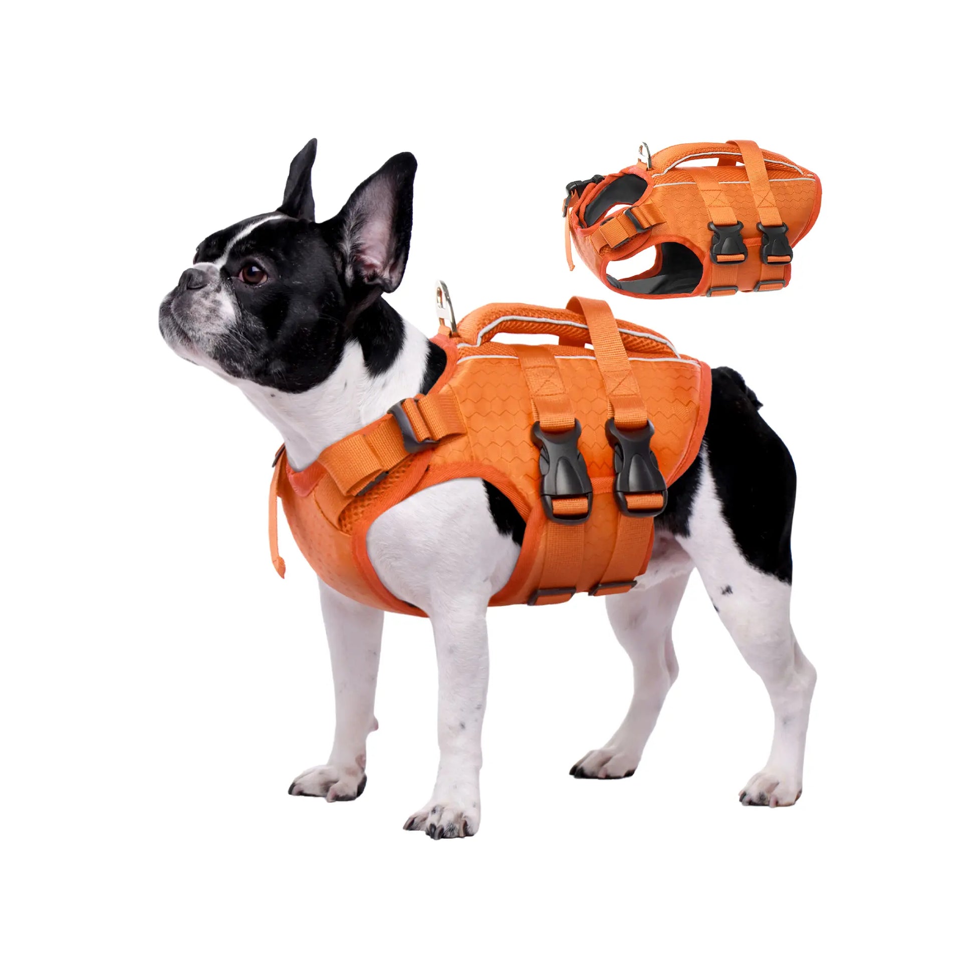 Kuoser Dog Life Jacket High Buoyancy, Reflective Dog Life Vest for Swimming Boating, Adjustable Small Medium Large Dog Lifejacket, Lightweight Dog Life Preserver Rescue Handle Spring Summer Pool