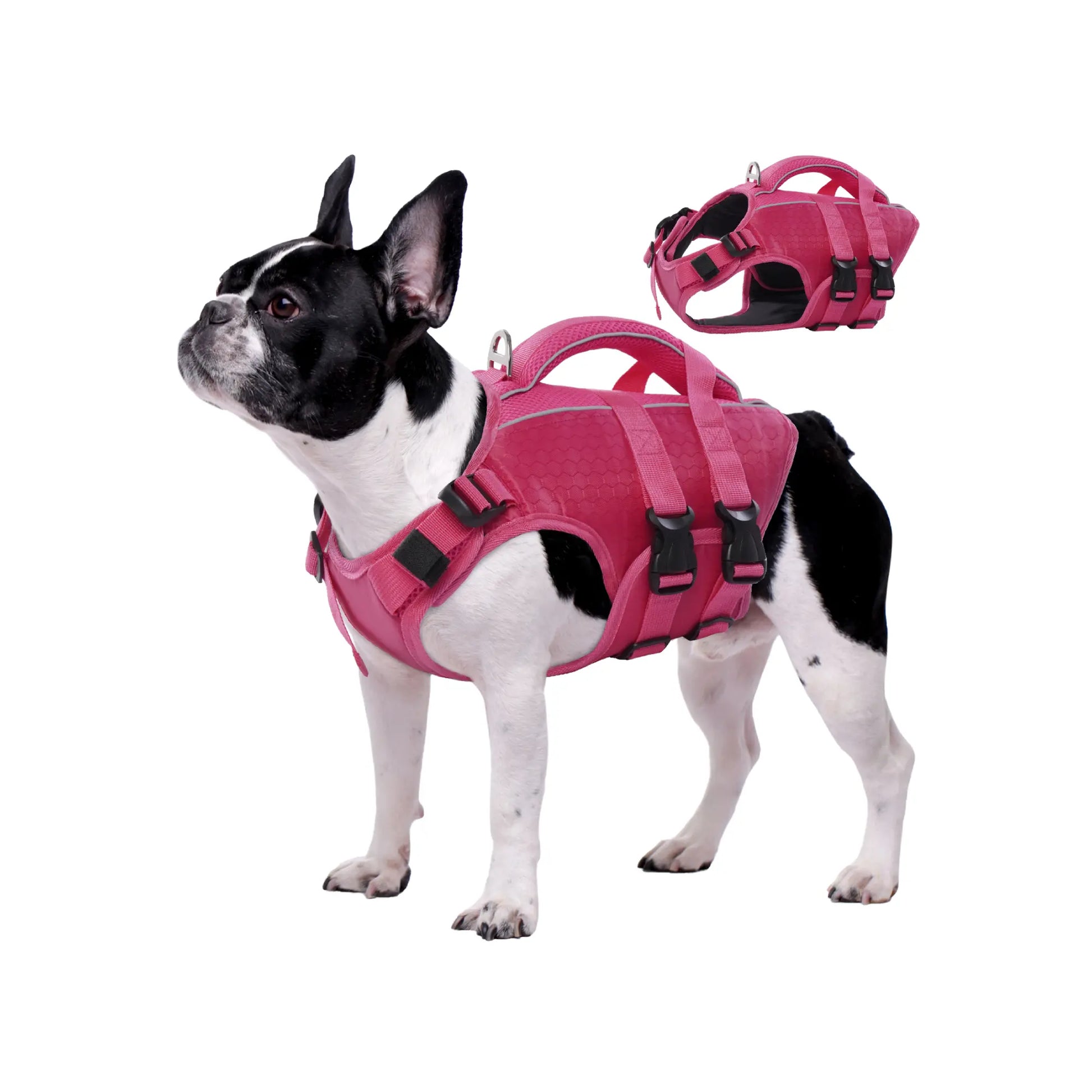 Kuoser Dog Life Jacket High Buoyancy, Reflective Dog Life Vest for Swimming Boating, Adjustable Small Medium Large Dog Lifejacket, Lightweight Dog Life Preserver Rescue Handle Spring Summer Pool