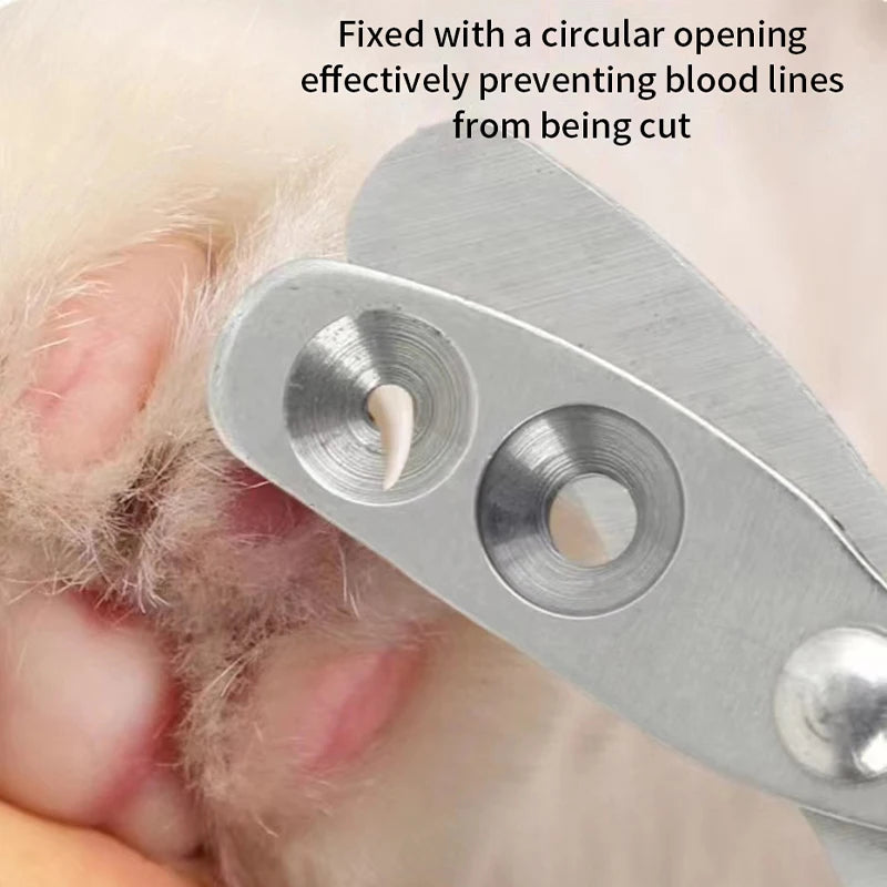 Professional Stainless Steel Cat and Dog Nail Clippers for Grooming Small Pets